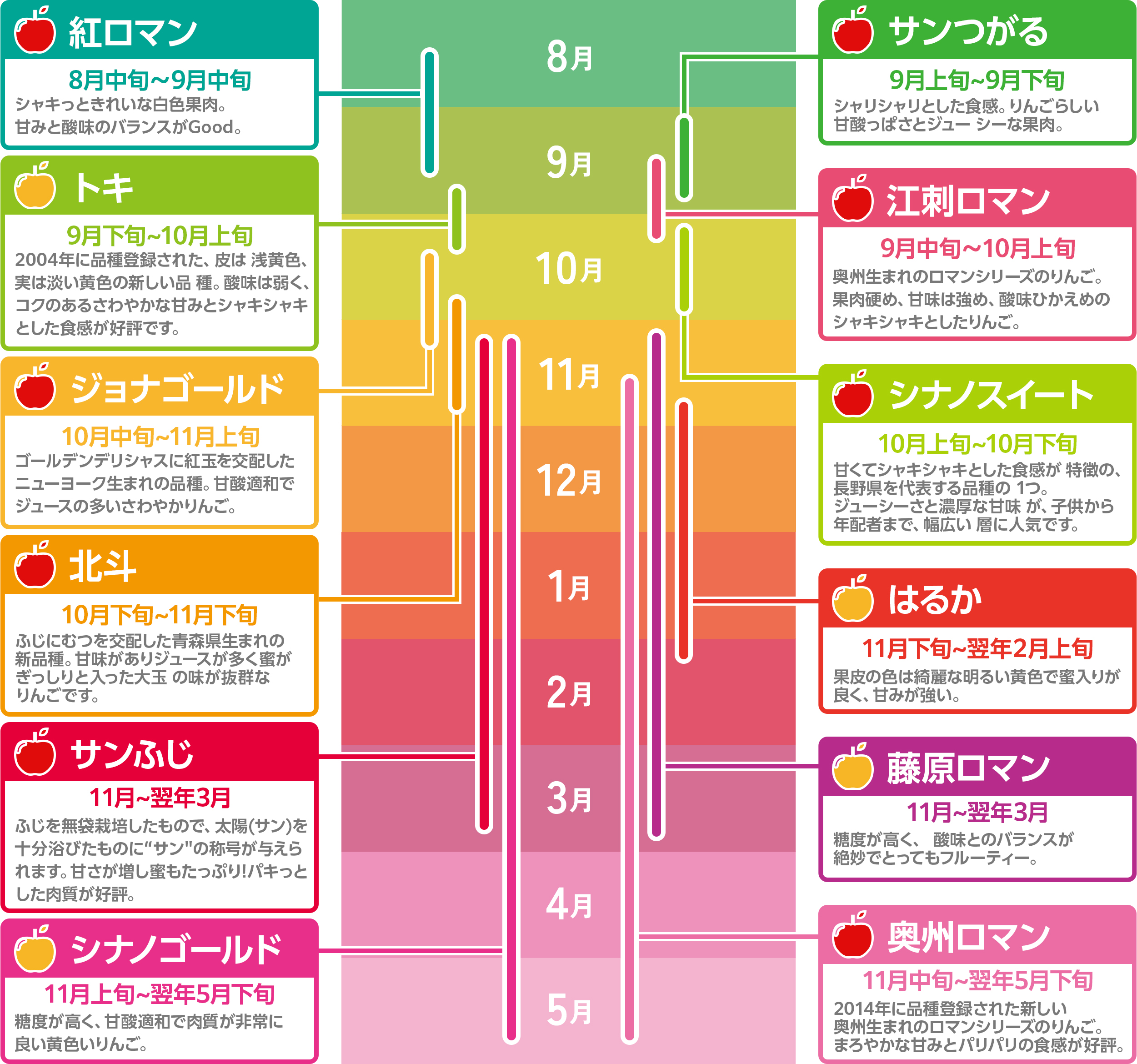 りんごのスケジュール